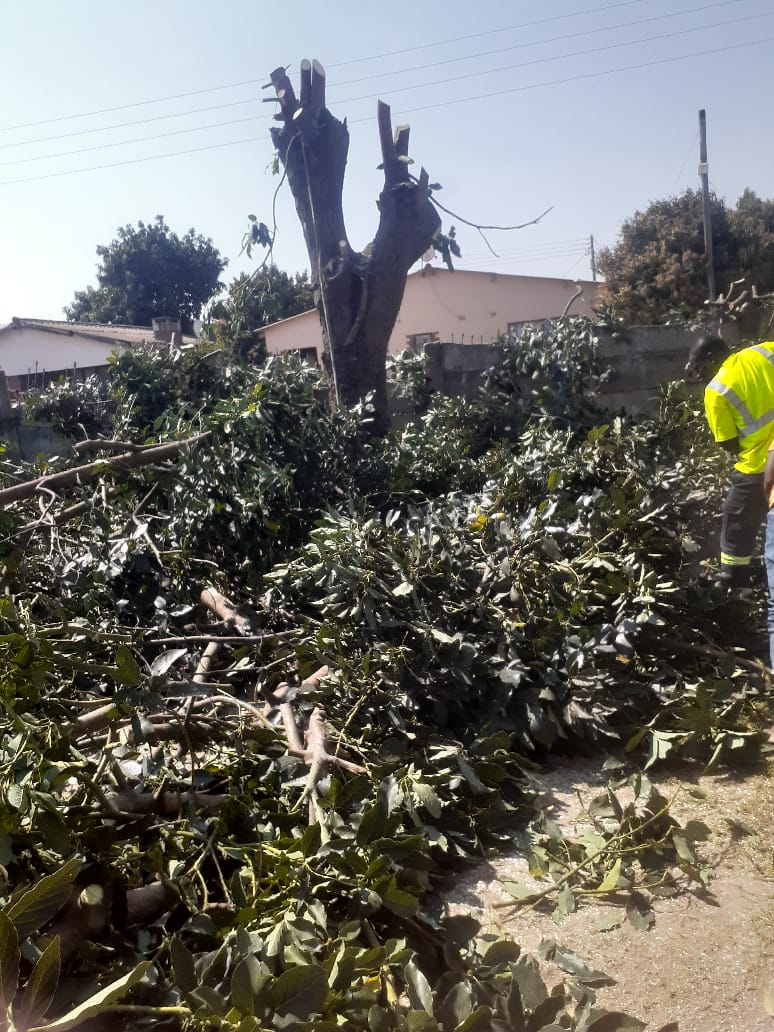 WhatsApp Image 2024-08-12 at 09.33.26_044ad3ae WhatsApp Image 2024-08-12 at 09.33.26_044ad3ae