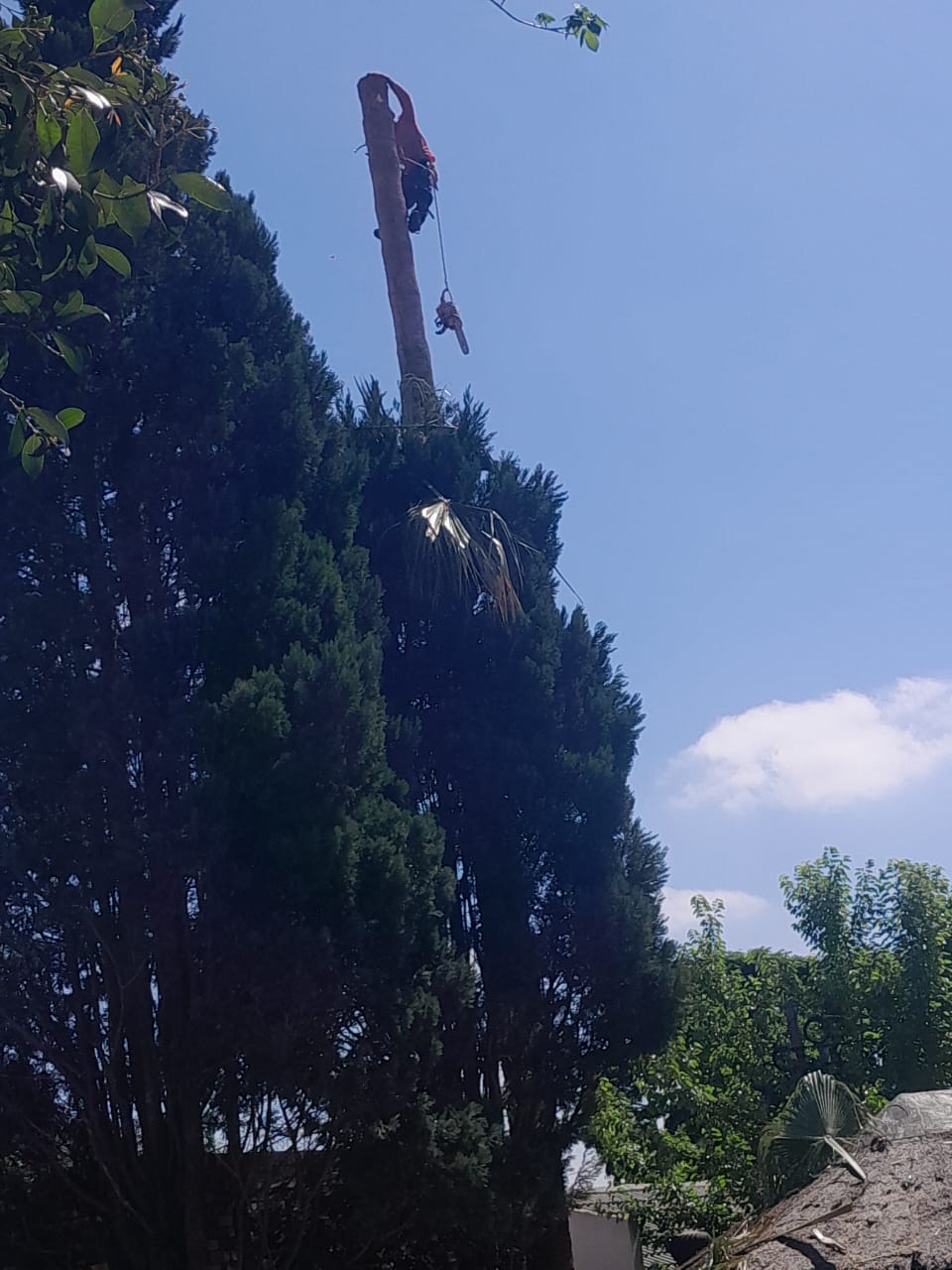 WhatsApp Image 2024-08-12 at 09.33.27_8e447318 WhatsApp Image 2024-08-12 at 09.33.27_8e447318