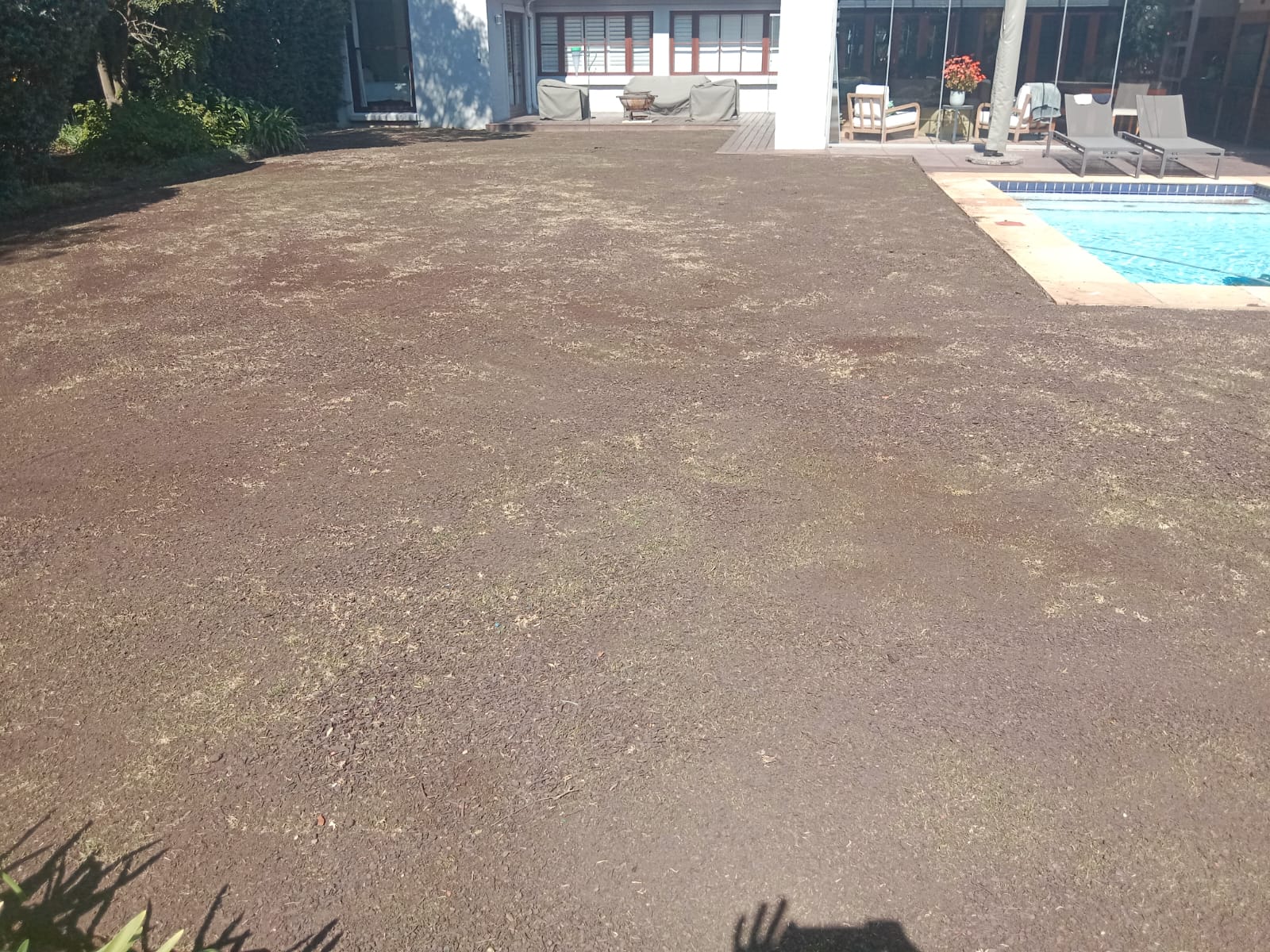 WhatsApp Image 2024-08-12 at 09.33.29_d8f810ec WhatsApp Image 2024-08-12 at 09.33.29_d8f810ec